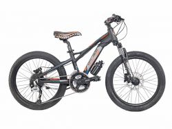 MTB 20
