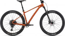 GIANT Mod. Fathom 29 1