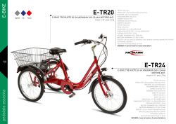 E-Bike mir 3 Rdern 24