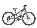 MTB 24