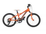 MTB 20